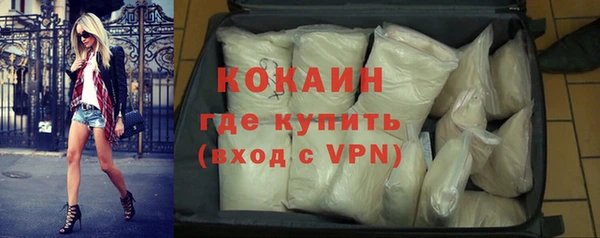 прущие грибы Дмитровск