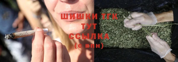 индика Гусь-Хрустальный