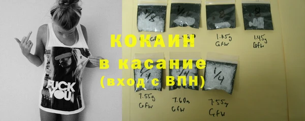 прущие грибы Дмитровск