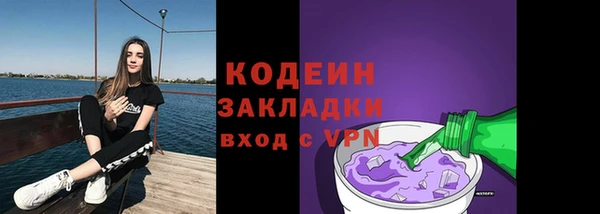 прущие грибы Дмитровск