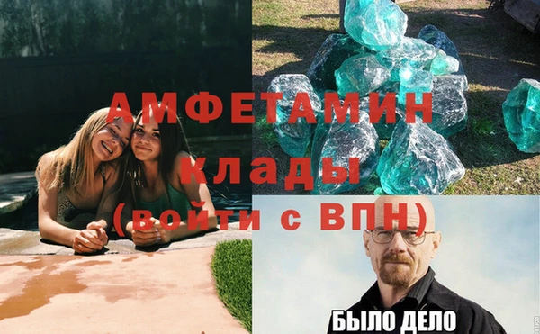 прущие грибы Дмитровск