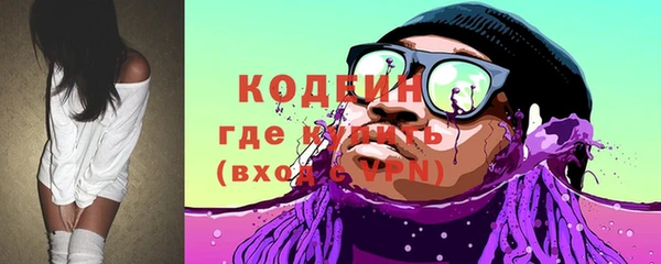 прущие грибы Дмитровск