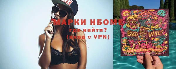 прущие грибы Дмитровск