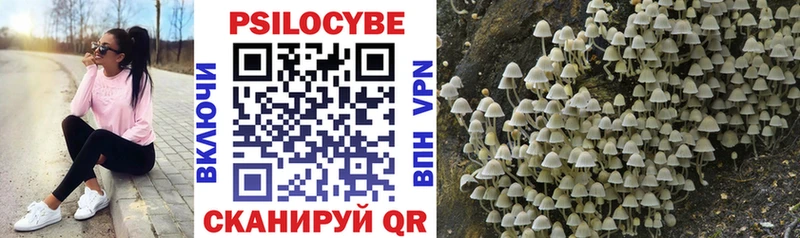 Галлюциногенные грибы Psilocybine cubensis  МЕГА ССЫЛКА  Донецк 